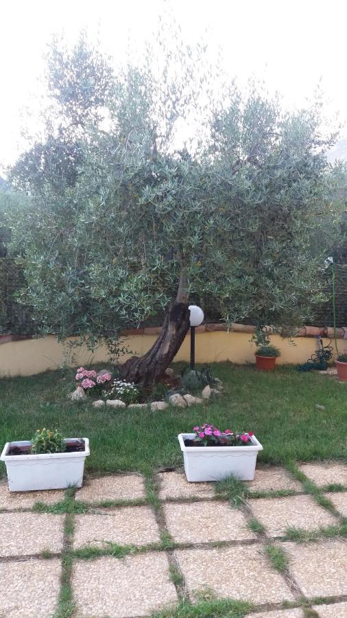 Alloggio Turistico L'Ulivo Monte San Biagio Exterior foto