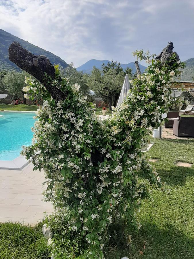Alloggio Turistico L'Ulivo Monte San Biagio Exterior foto